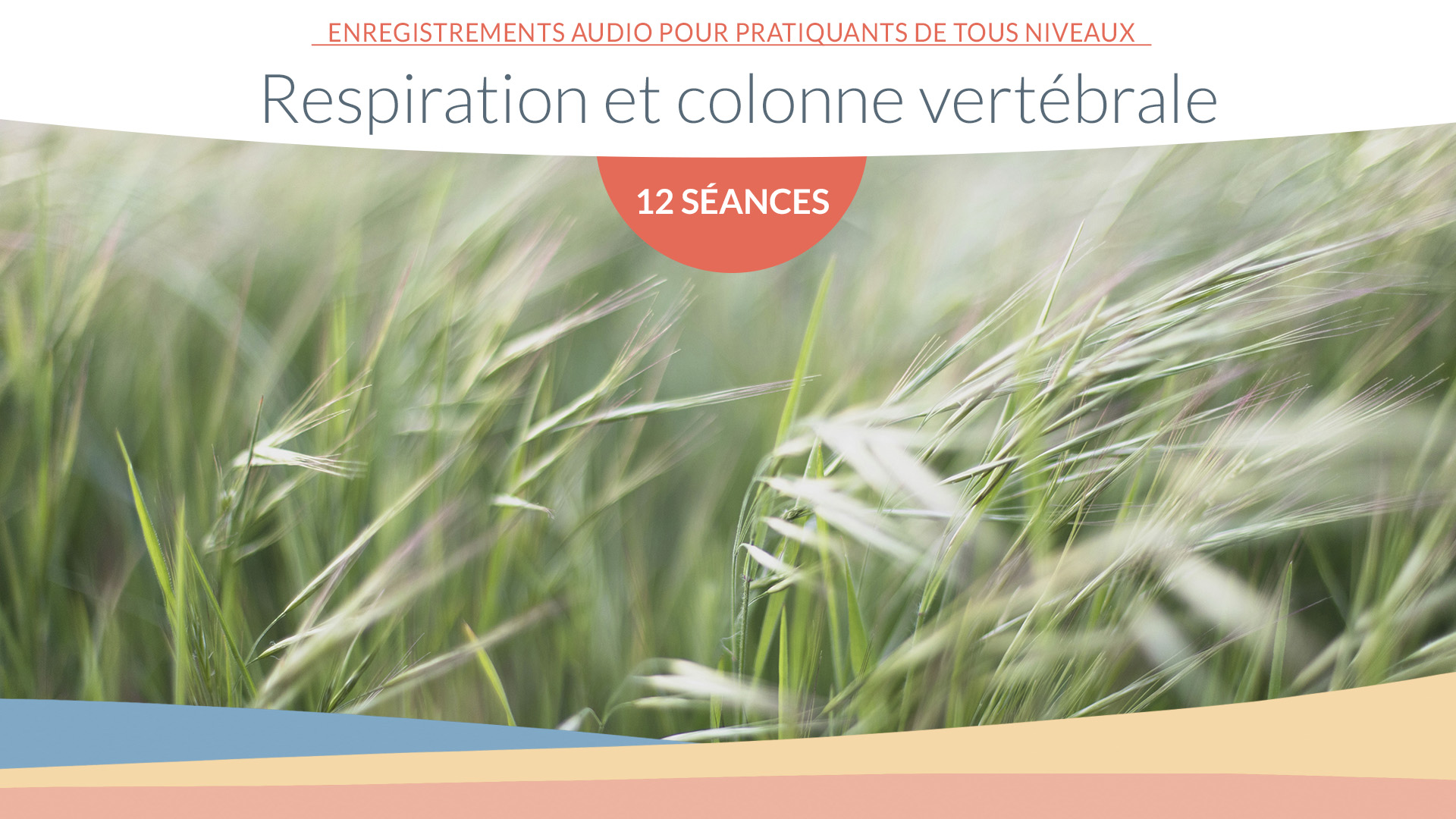 (Hiver 2024) – 12 leçons sur le thème «Respiration et Colonne Vertébrale»