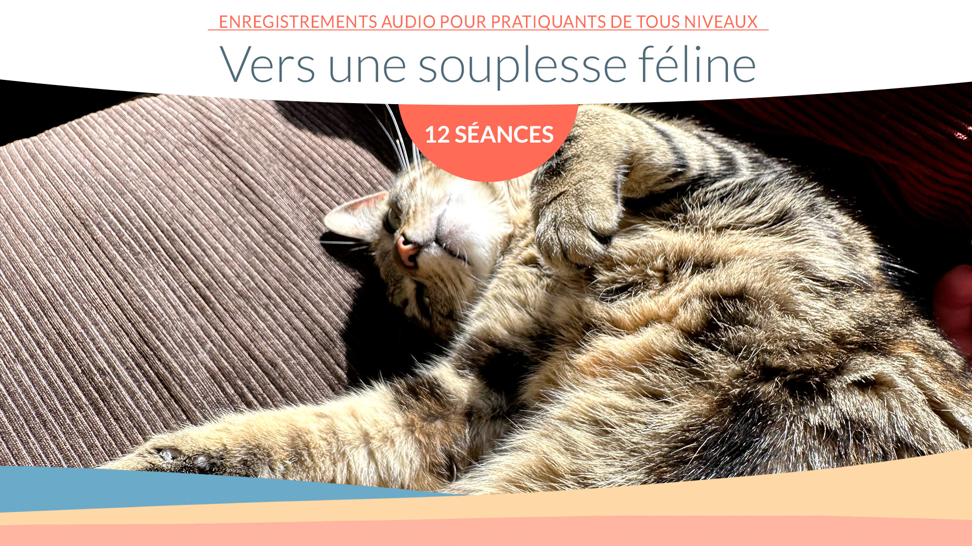 (Printemps 2024) – 12 leçons félines pour tous niveaux