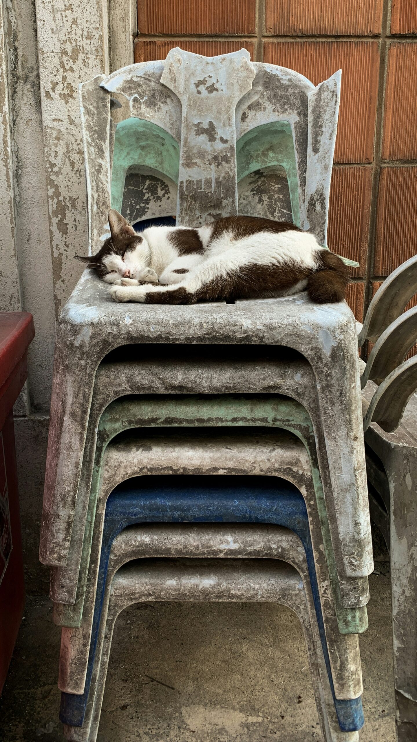 Respiration et Sommeil Atelier + Rediffusions + Enregistrements