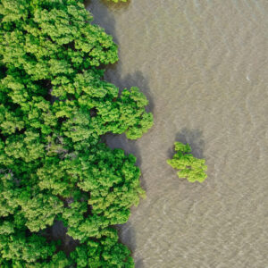 Trimestre printemps 2026 (bleu)